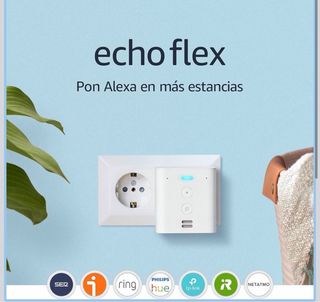 Amazon Echo Flex