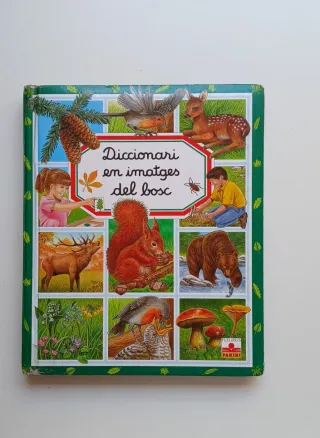 Pack diccionaros en imagenes