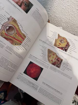 Sobotta. Atlas de anatomía humana vol 3: Cabeza...