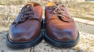 Par de zapatos elegante