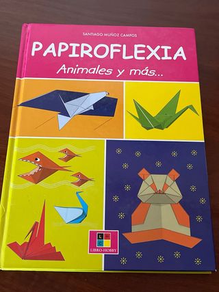 Libros de papiroflexia