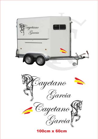 Kit Pegatinas Personalizadas Van Caballos