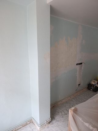 Alisado y Eliminación de gotelé · Pintura Profesio