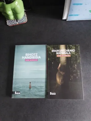 ERAIKUNTZARAKO MATERIALA BIHORZ HANDIEGIA