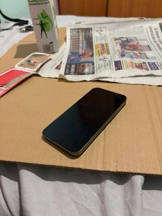 iPhone 13 Pro 100% salud