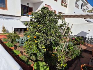 Casa pareada en venta en Güímar