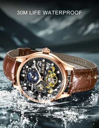 Reloj Automático LIGE Hombre Marrón/Dorado