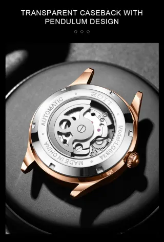 Reloj Automático LIGE Hombre Marrón/Dorado