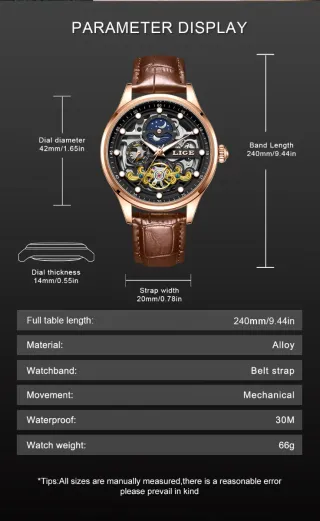 Reloj Automático LIGE Hombre Marrón/Dorado