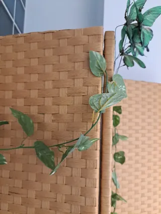 Biombo 3 hojas mimbre trenzado