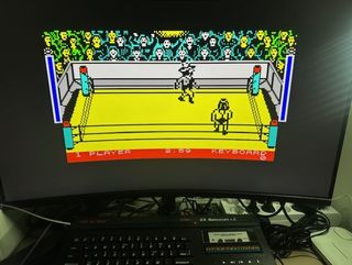 Rock'n Lucha - ZX Spectrum 48K