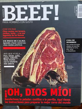 10 Revistas BEEF