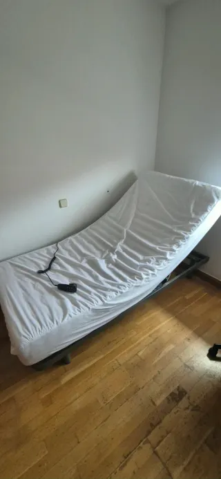 Cama articulada ergonómica (Cama hospitalaria )