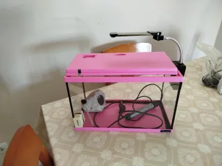 Acuario 15L Rosa con lámpara de led,termostato
