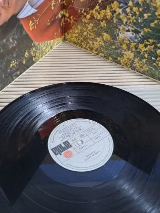 Disco Vinilo Camilo Sesto Rasgos