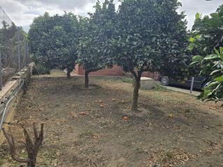 Casa rural en venta en El Faro de Calaburra - Chaparral en Mijas