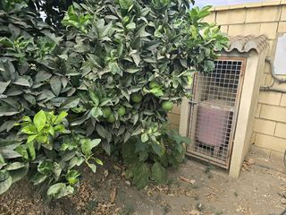 Casa rural en venta en El Faro de Calaburra - Chaparral en Mijas