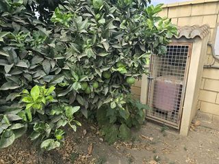 Casa rural en venta en El Faro de Calaburra - Chaparral en Mijas