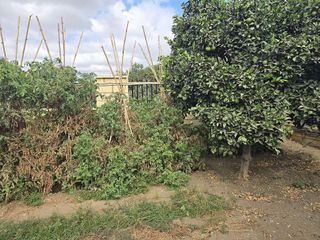 Casa rural en venta en El Faro de Calaburra - Chaparral en Mijas