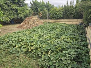 Casa rural en venta en El Faro de Calaburra - Chaparral en Mijas