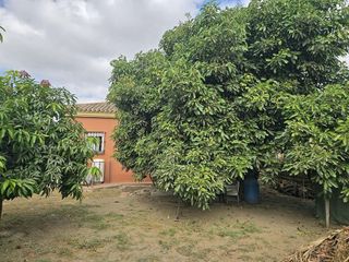 Casa rural en venta en El Faro de Calaburra - Chaparral en Mijas