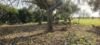 Chalet en venta en Las Vaguadas - Urb. del Sur en Badajoz