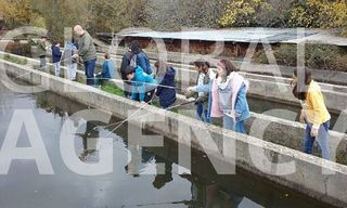 Casa rural en venta en Manzanares el Real