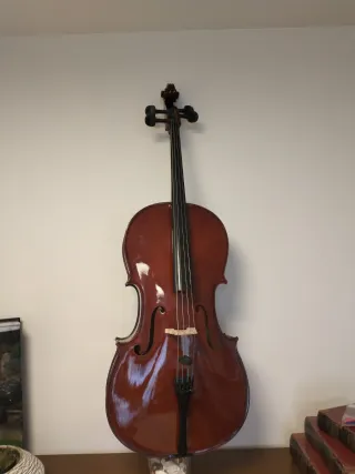 Violonchelo  Palatino 3/4