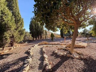 Casa adosada en venta en Crevillent