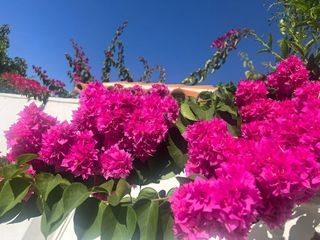 Casa pareada en venta en San García en Algeciras