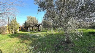 Casa rural en venta en Selva