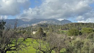 Casa rural en venta en Selva