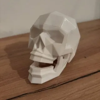 Puzzle Magnético - Crânio