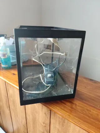 Terrario Boyu cristal y plástico