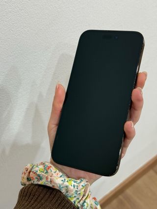 iPhone 14 Pro Max Negro 256GB