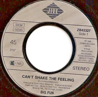 BIG FUN CAN'T SHAKE THE FEELING 7 45 RPM 1989