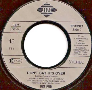 BIG FUN CAN'T SHAKE THE FEELING 7 45 RPM 1989