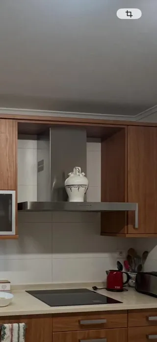 Extractor de humos cocina acero inoxidable