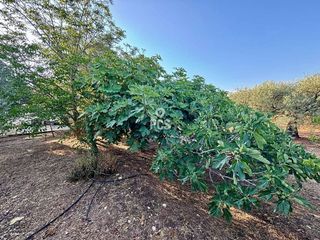 Chalet en venta en Totana