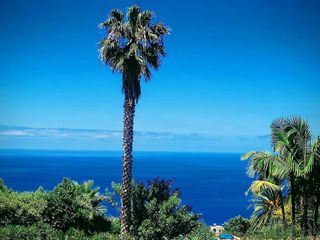 Piso en venta en Santa Úrsula