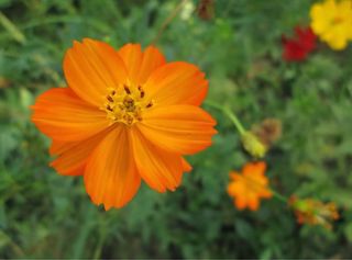 Cámara Canon A3400 IS Táctil