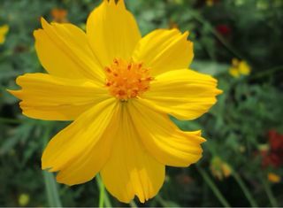 Cámara Canon A3400 IS Táctil