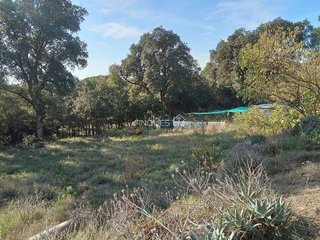 Masía en venta en Mas Mora - Sant Daniel en Tordera