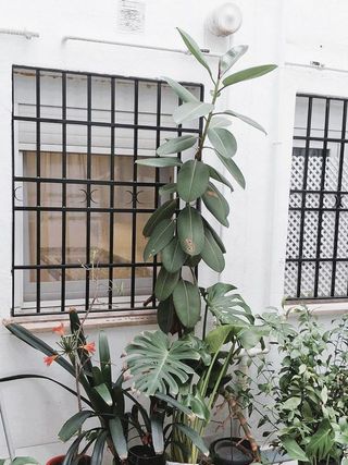 Piso en venta en Casco Histórico  - Ribera - San Basilio en Córdoba