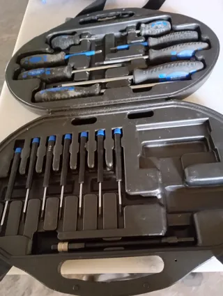 Caja de destornilladores de precisión