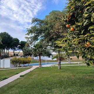 Piso en venta en Playa de Poniente en Benidorm