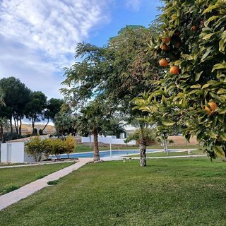Piso en venta en Playa de Poniente en Benidorm