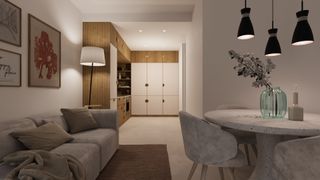 Proyectos de Reforma Integral