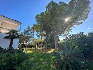 Casa adosada en venta en Zona Poble en Benicarló