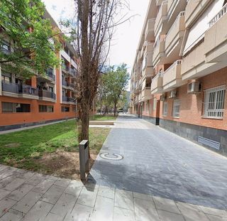 Piso en alquiler en Centro en San Vicente del Raspeig/Sant Vicent del Raspeig